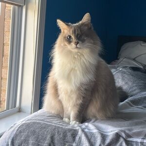 Meet your Posher, Audrey